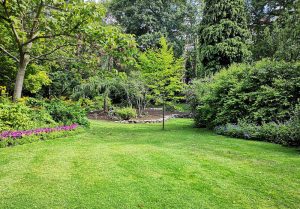 Optimiser l'expérience du jardin à Ruan-sur-Egvonne